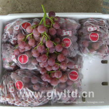 Китайский сорт хорошего качества Fresh Purple Global Grape
